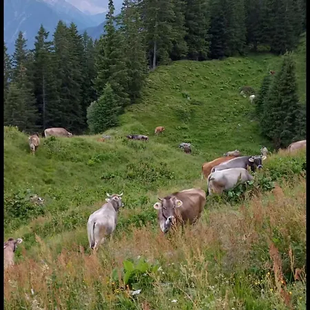 Appartamento Wandegg Im Bergsteigerdorf Ginzling Mayrhofen