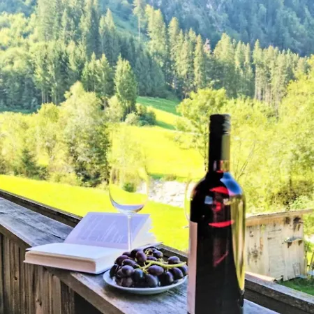 Wandegg Im Bergsteigerdorf Ginzling Apartman