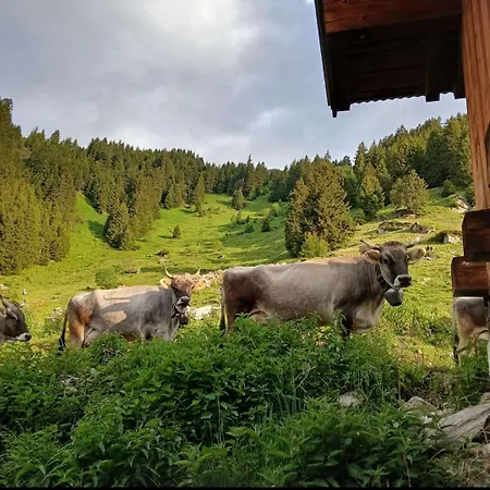 Apartmán Wandegg Im Bergsteigerdorf Ginzling